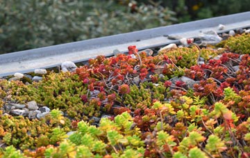 the cost of Quarrington Hill green roof installation