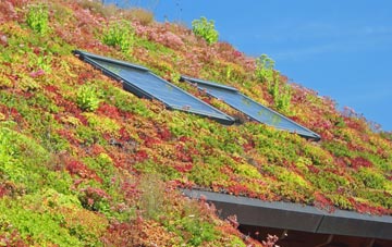 Quarrington Hill living roof systems