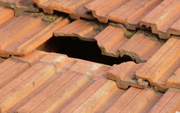 roof repair Quarrington Hill, County Durham